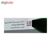 واریاسیون پادینا شماره E17-0-22 حجم 100 میلی لیتر رنگ سبز