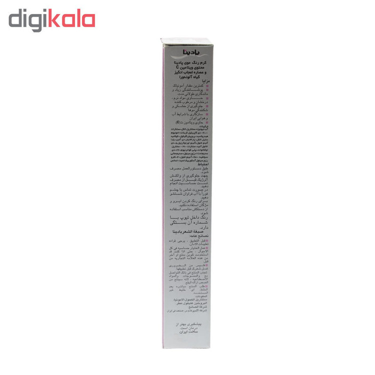 واریاسیون پادینا شماره E17-0-22 حجم 100 میلی لیتر رنگ سبز